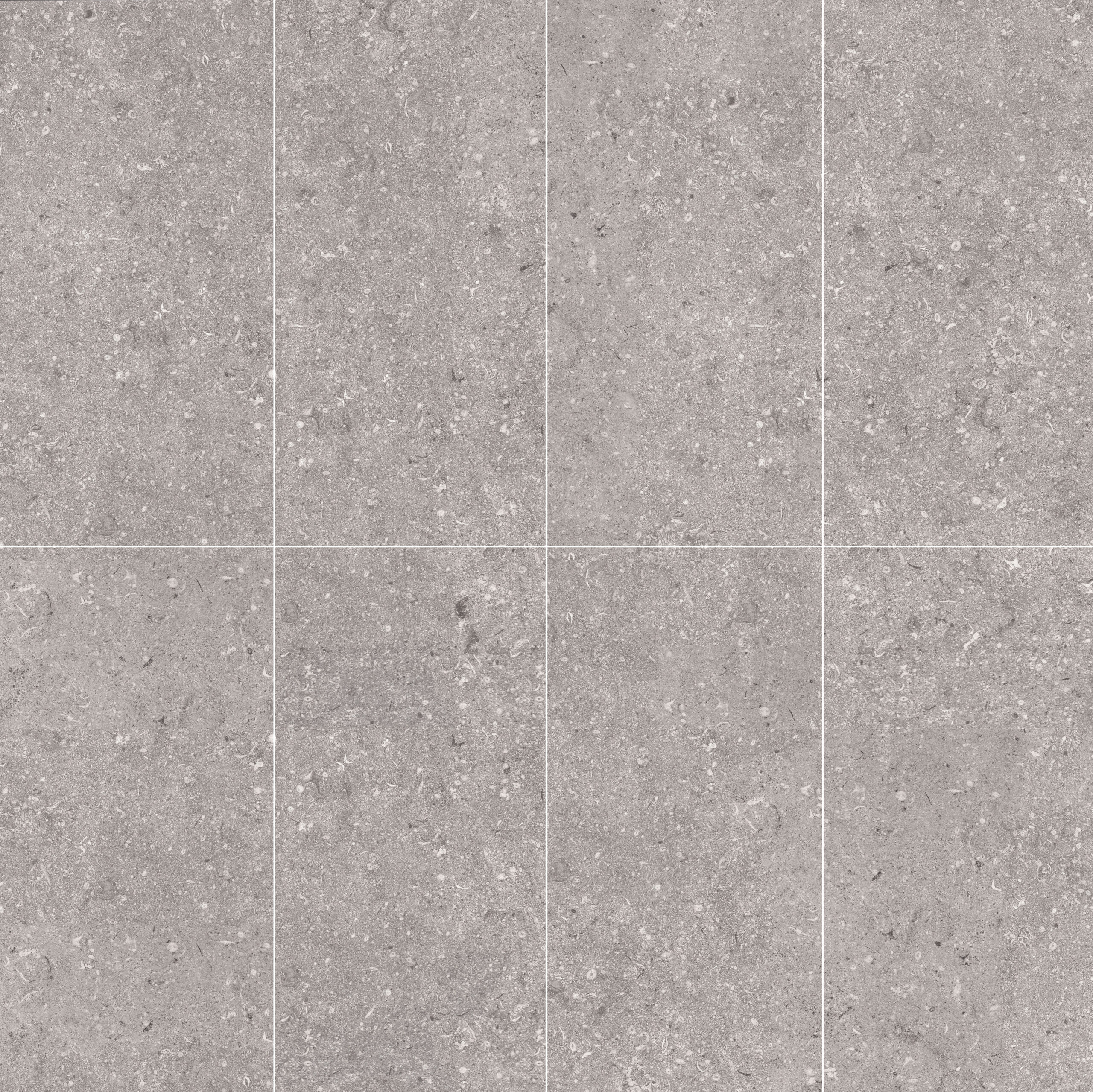 Fossile Cenere AJ36ABH4LR