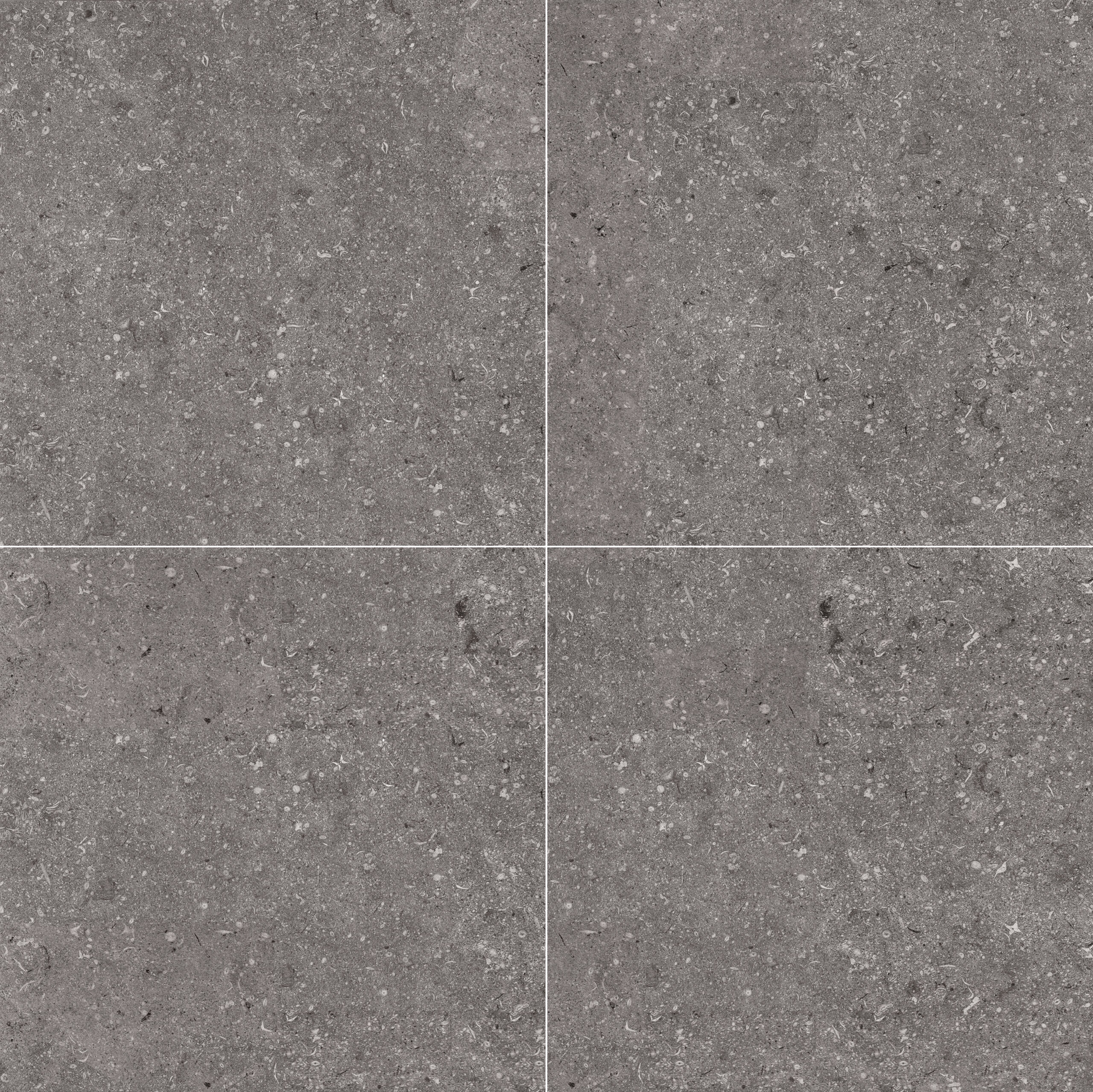 Fossile Anthracite AJ59ABH4DA