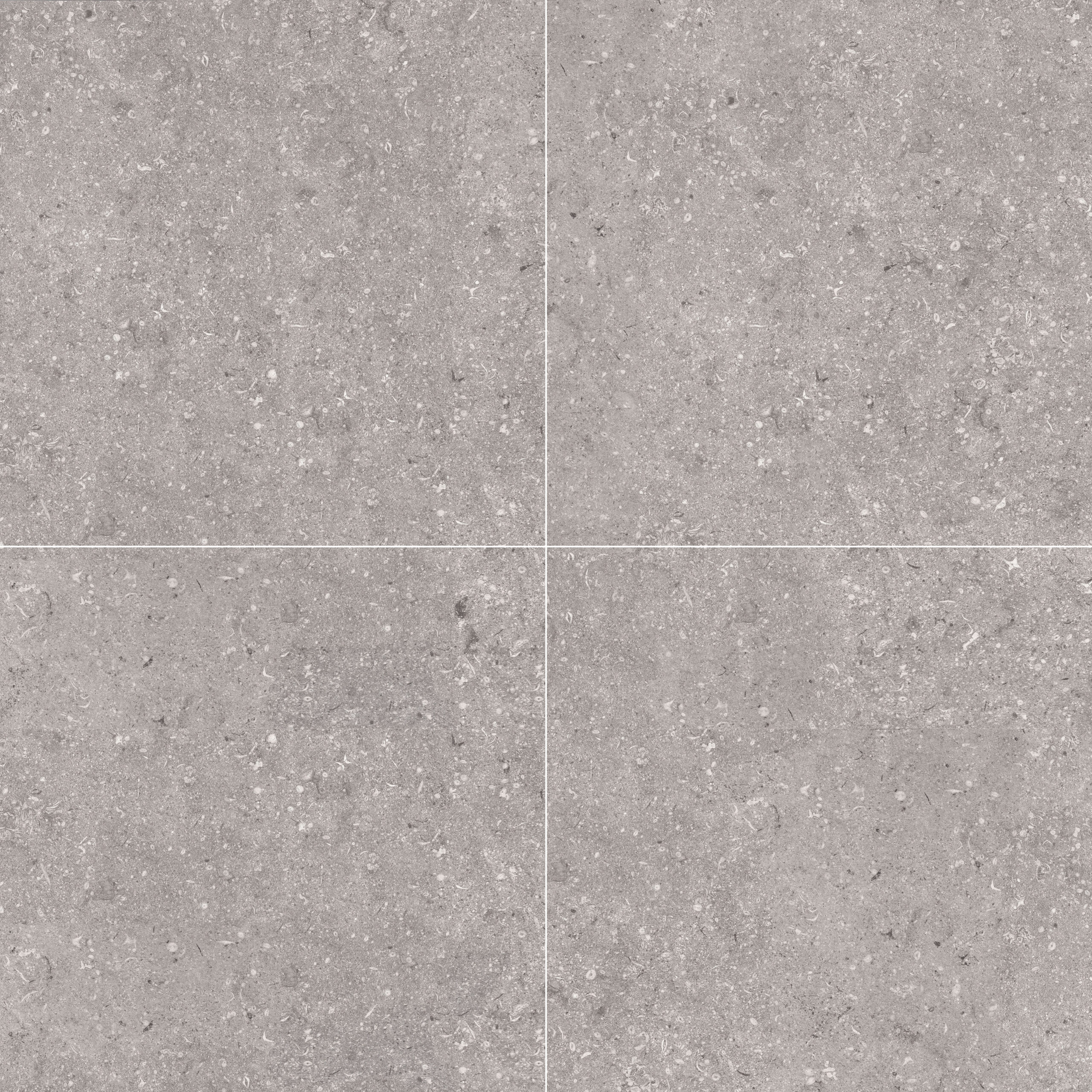 Fossile Cenere AJ59ABH4LA